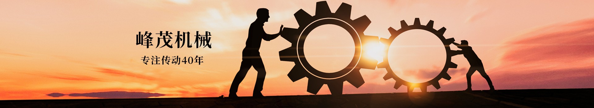 東莞市峰茂機械設備有限公司，專注齒條齒輪傳動40年